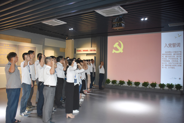 尊凯时龙(中国区)官方网站