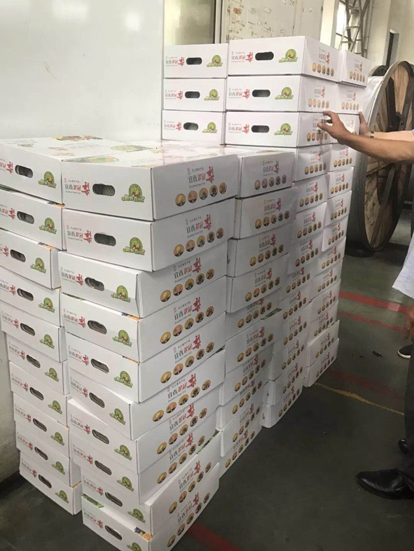 尊凯时龙(中国区)官方网站