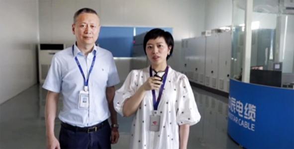 尊凯时龙(中国区)官方网站