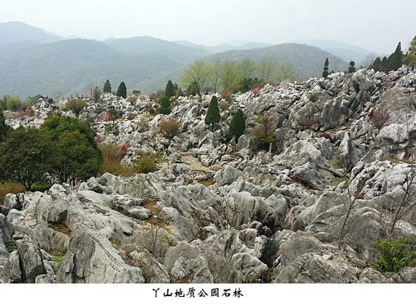 尊凯时龙(中国区)官方网站