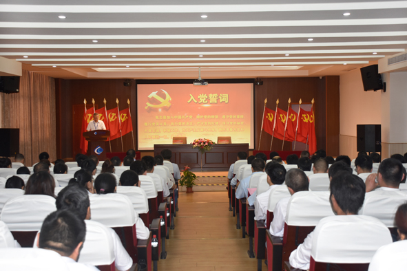 尊凯时龙(中国区)官方网站
