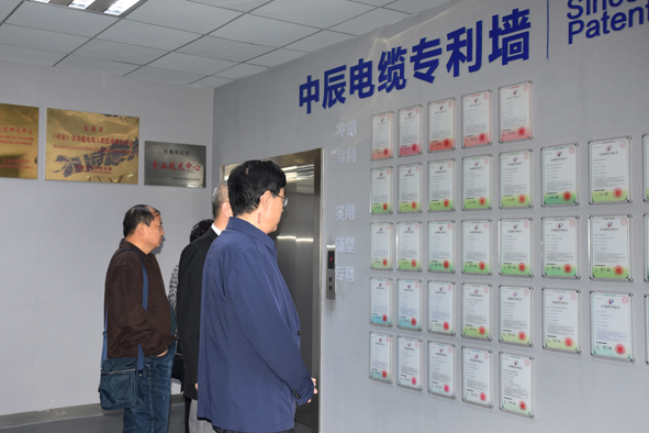 尊凯时龙(中国区)官方网站