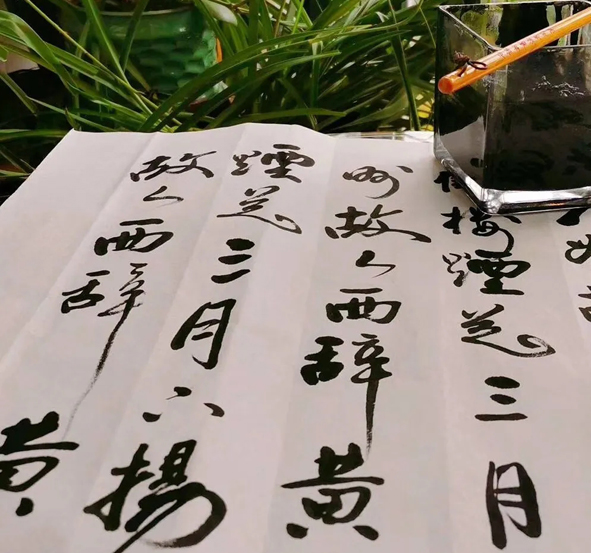 尊凯时龙(中国区)官方网站