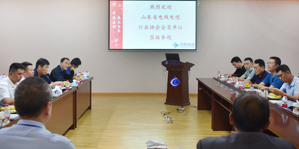 尊凯时龙(中国区)官方网站